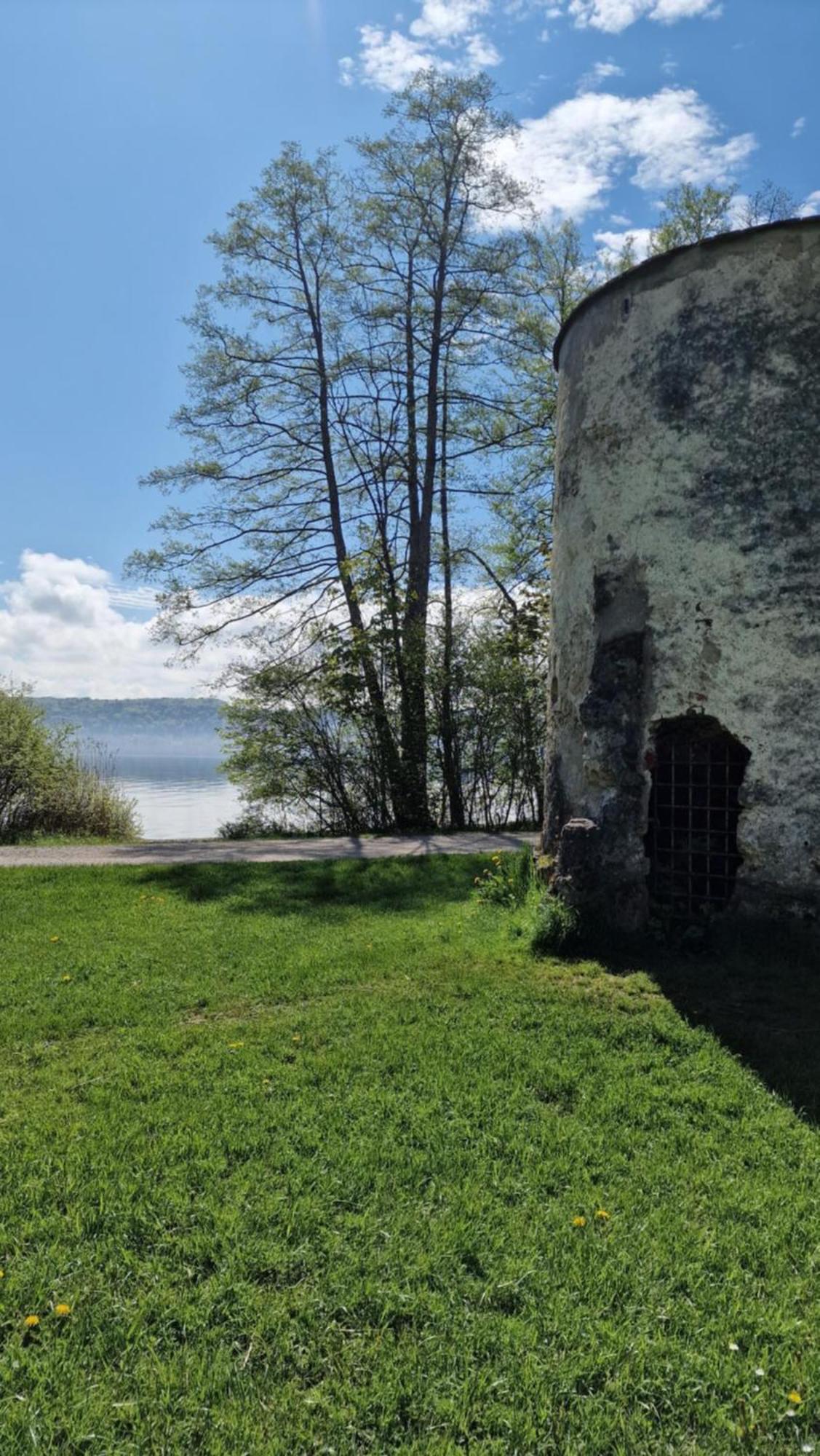 Sisi * Pocking (Starnberg)